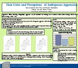 Skin Color and Perceptions of Ambiguous Aggression