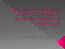 Effects of run-up velocity on performance, kinematics, and