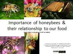 Importance of honeybees & their relationship to our foo