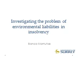 Investigating the problem of environmental liabilities in i