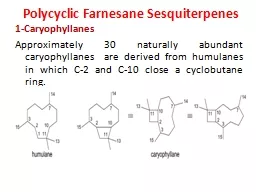 Polycyclic Farnesane Sesquiterpenes