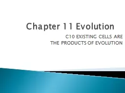 Chapter 11 Evolution