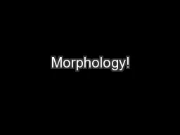 Morphology!
