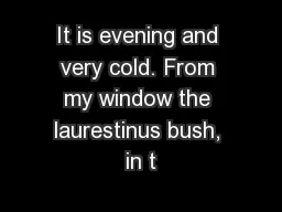 It is evening and very cold. From my window the laurestinus bush, in t