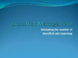 Broodfish