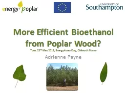More Efficient Bioethanol from Poplar Wood?