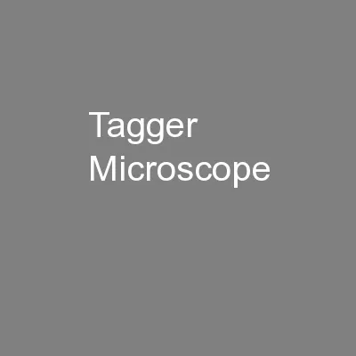 Tagger Microscope