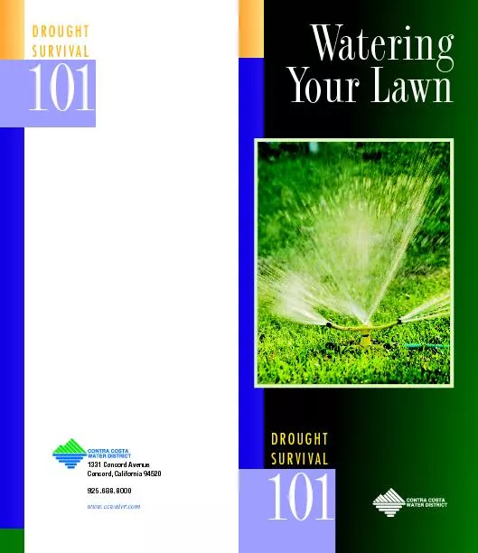 WateringYour Lawn