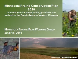Minnesota Prairie Conservation Plan 2010