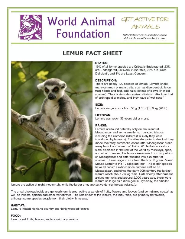 16% of all lemur speci