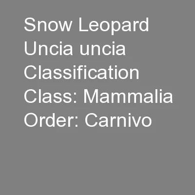 Snow Leopard Uncia uncia Classification Class: Mammalia Order: Carnivo