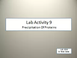 Lab Activity 9