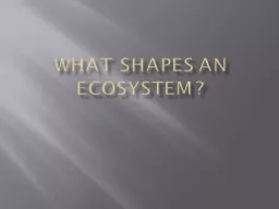 What shapes an Ecosystem?