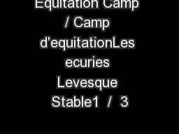 Equitation Camp / Camp d'equitationLes ecuries Levesque Stable1  /  3