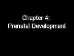 Chapter 4: Prenatal Development