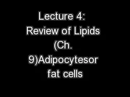 Lecture 4:  Review of Lipids (Ch. 9)Adipocytesor fat cells