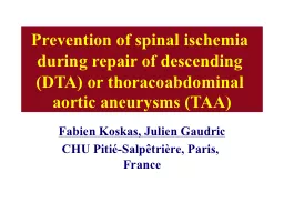 Prevention of spinal ischemia during repair of descending (