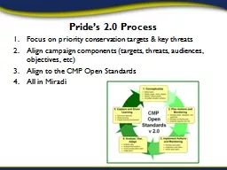 Pride’s 2.0 Process
