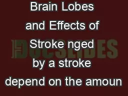 Brain Lobes and Effects of Stroke nged by a stroke depend on the amoun