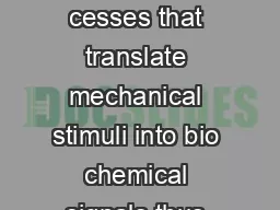 Mechanotransduction describes the cellular pro cesses that translate mechanical stimuli