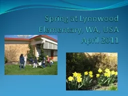 Spring at Lynnwood Elementary, WA, USA