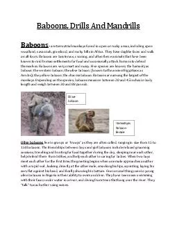 Baboons Drills And Mandrills are terrestrial monkeys found in open or rocky areas including open woodland savannah grassland and rocky hills in Africa