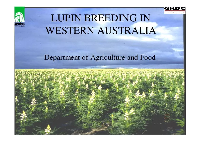 LUPIN BREEDING IN WESTERN AUSTRALIADepartment of Agriculture and Food