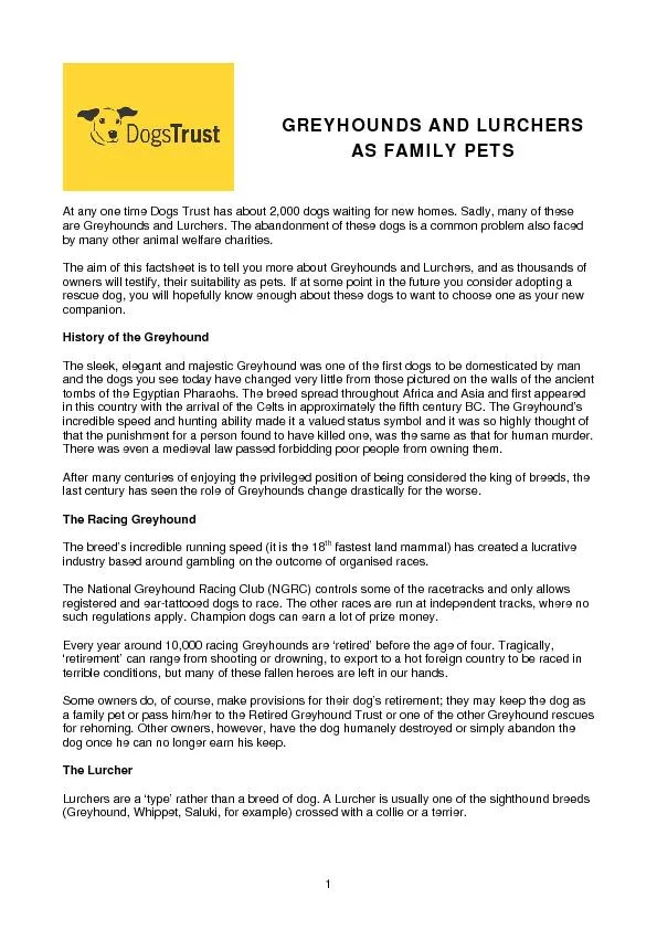 GREYHOUNDS AND LURCHERS AS FAMILY PETS