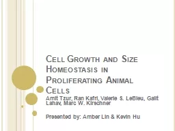 Cell Growth and Size Homeostasis in Proliferating Animal Ce