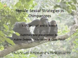 Female Sexual Strategies in Chimpanzees