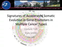 Signatures of Accelerated Somatic Evolution in Gene Promote