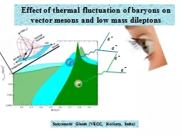 Effect of thermal fluctuation of baryons on      vector mes