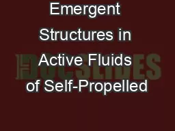 Emergent Structures in Active Fluids of Self-Propelled