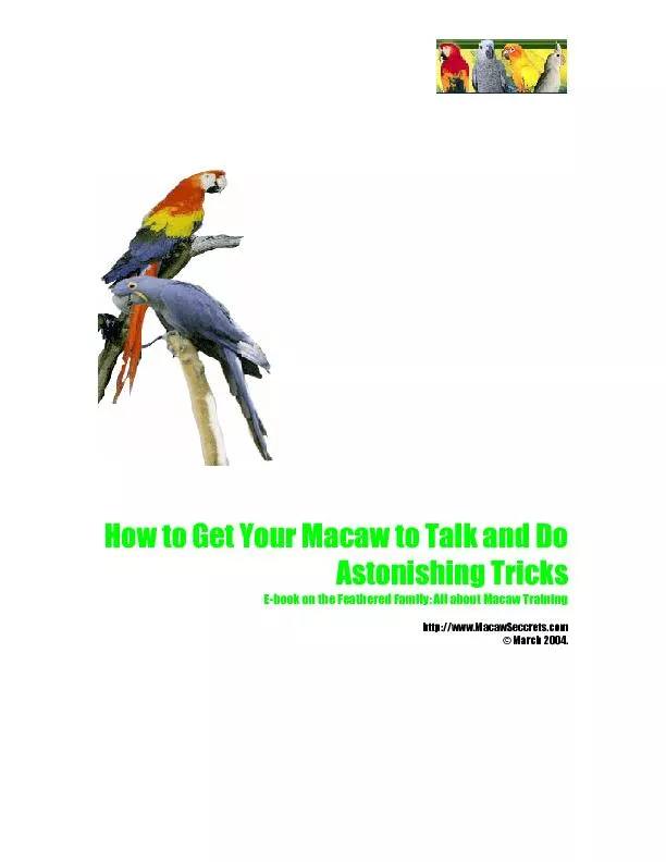 How to Get Your Macaw to Talk and Do Astonishing Tricks