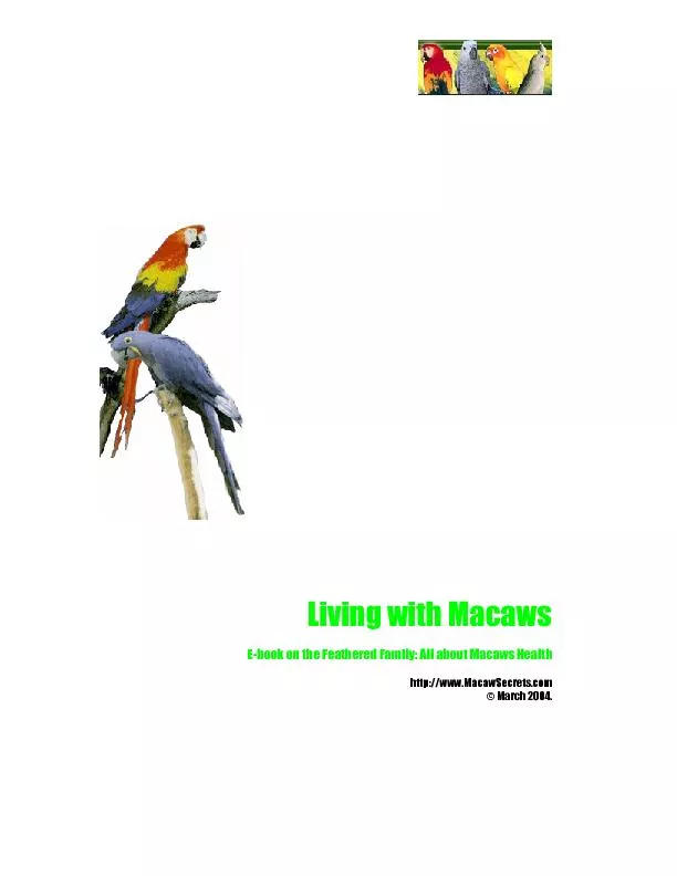 Living with Macaws