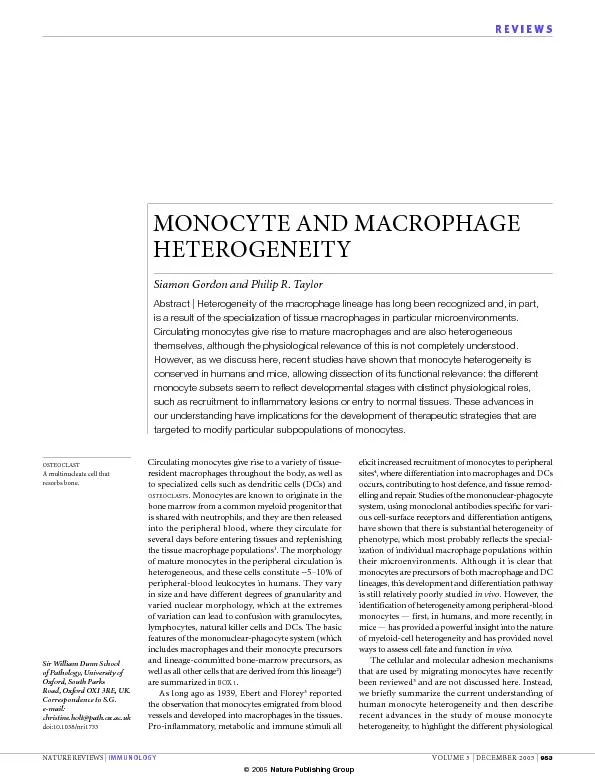 Circulating monocytes give rise to a variety of tissue-resident macrop