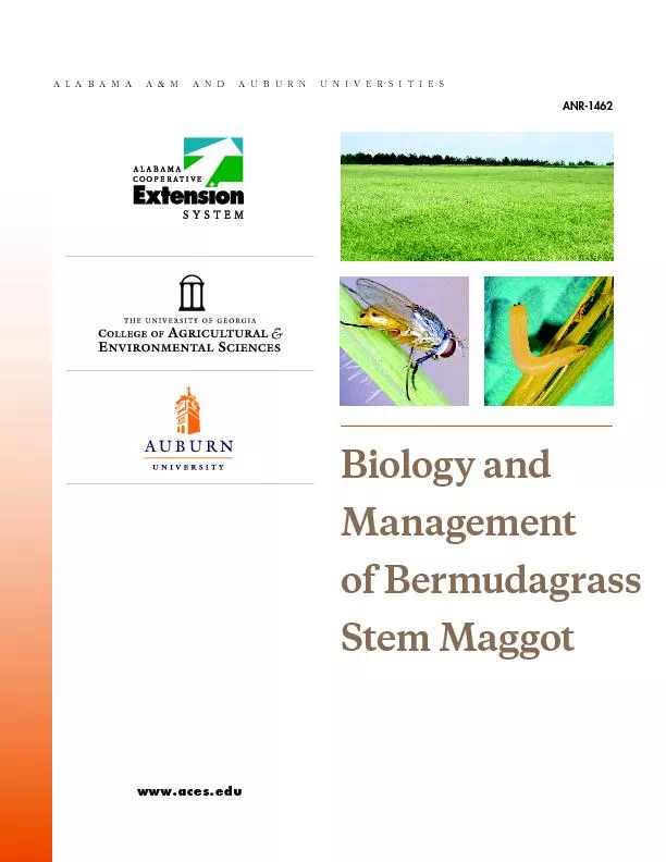 ND AUBURN www.aces.eduBiology and Management of Bermudagrass Stem Magg