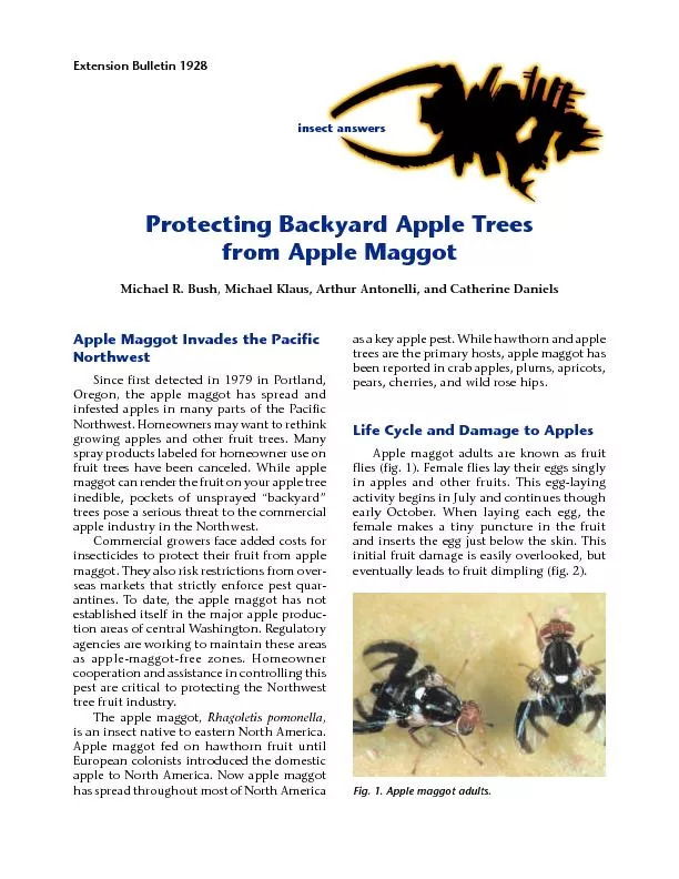 Protecting Backyard Apple Trees