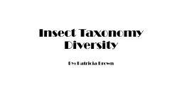 Insect Taxonomy Diversity