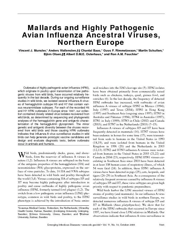 Outbreaks of highly pathogenic avian influenza (HPAI),which originate