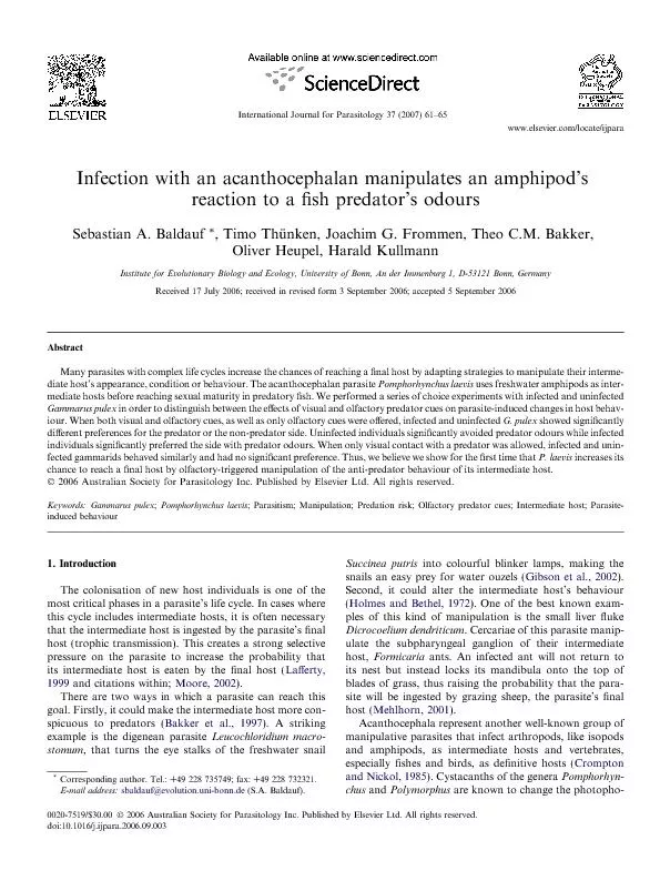 bicbehaviouroftheiramphipodintermediatehosts.Whileuninfectedindividual