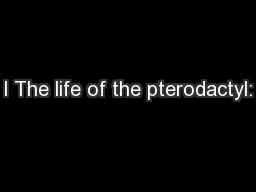 l The life of the pterodactyl: