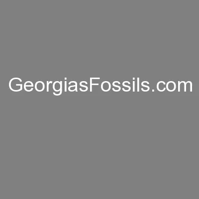 GeorgiasFossils.com