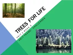 Trees for Life