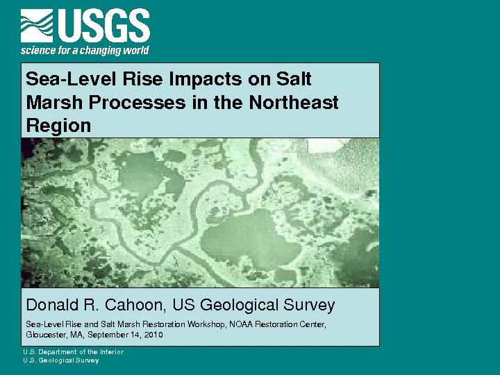 SeaLevel Rise Impacts on Salt Marsh Processes in the Northeast Region