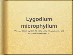 Lygodium