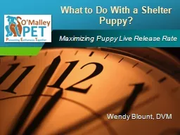 Maximizing Puppy Live Release Rate