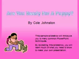 Are You Ready For A Puppy?