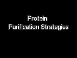 Protein Purification Strategies