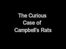 The Curious Case of Campbell’s Rats